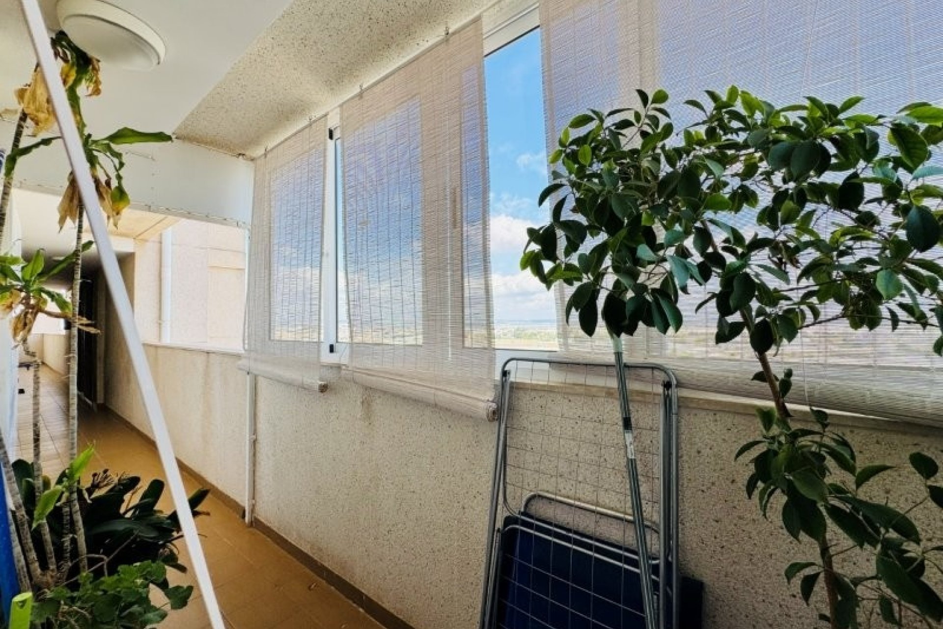 Herverkoop - Apartment -
Torrevieja - Costa Blanca