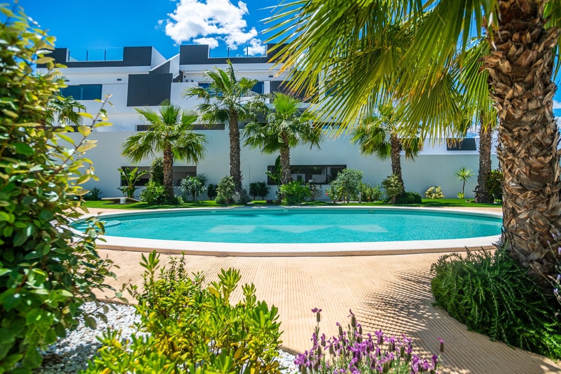 Herverkoop - Apartment -
Torrevieja - Costa Blanca