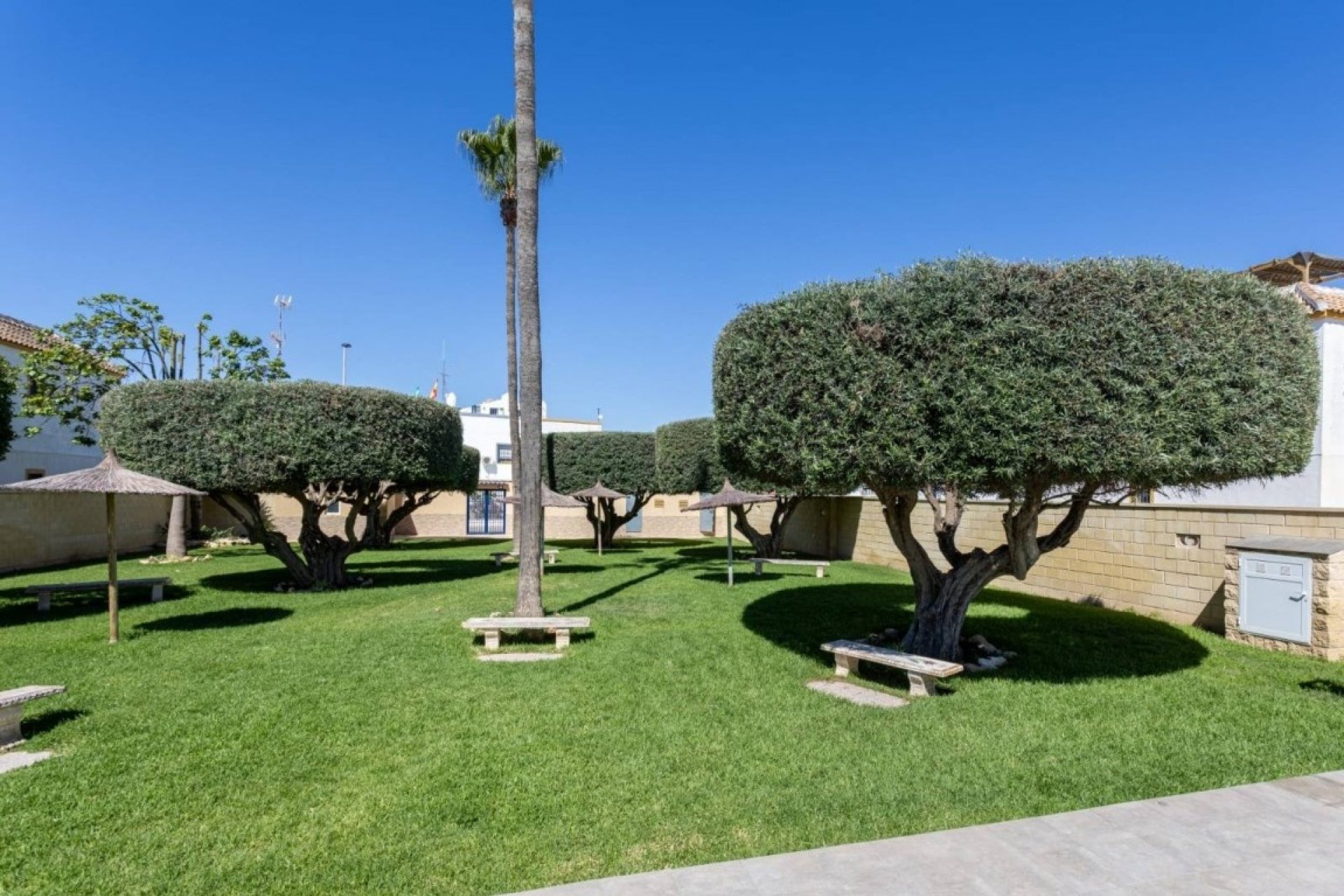 Herverkoop - Apartment -
Torrevieja - Costa Blanca