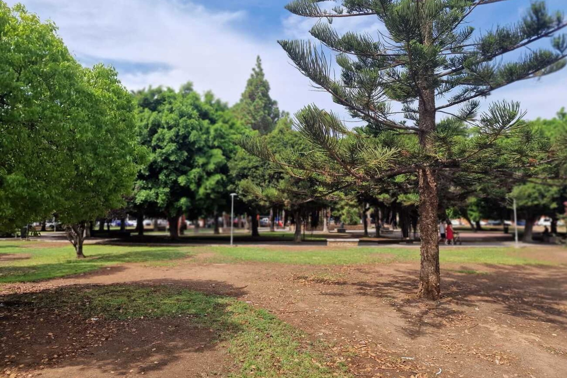 Herverkoop - Apartment -
Torrevieja - Costa Blanca