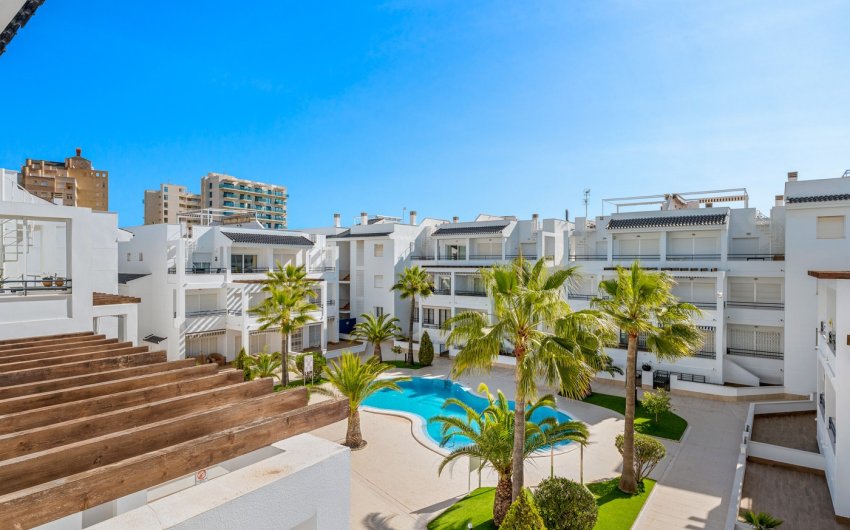 Herverkoop - Apartment -
Torrevieja - Costa Blanca