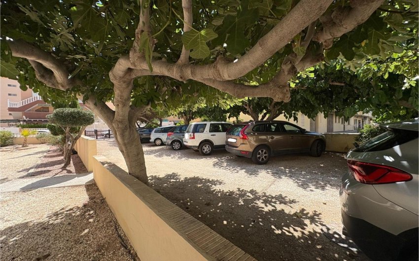 Herverkoop - Apartment -
Torrevieja - Costa Blanca