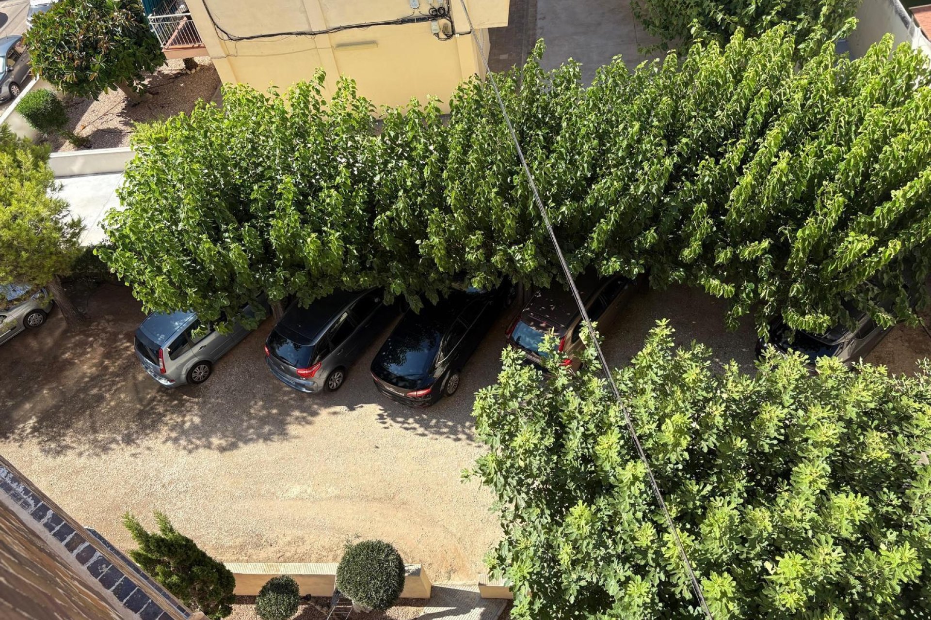 Herverkoop - Apartment -
Torrevieja - Costa Blanca