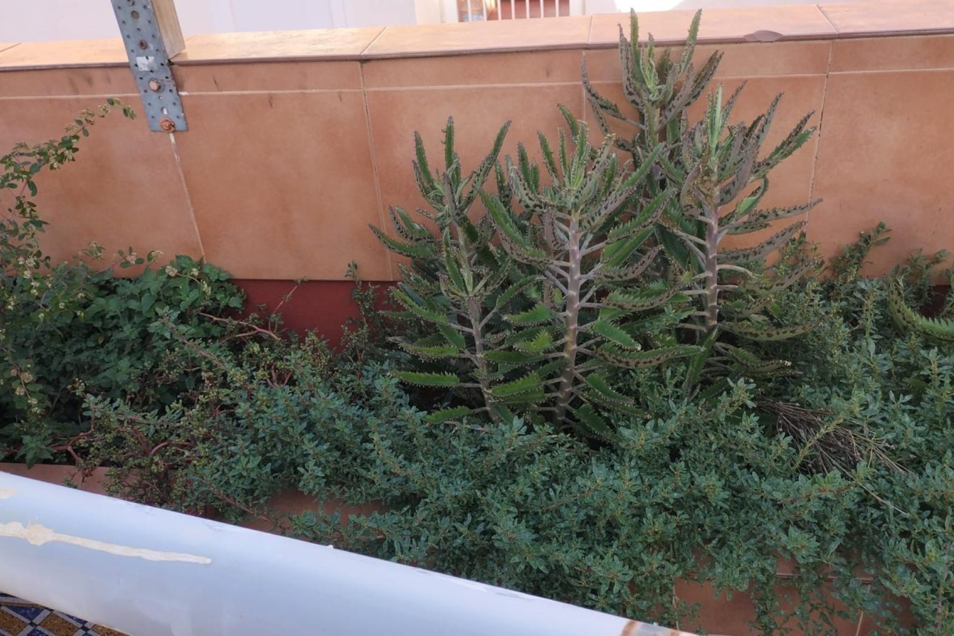 Herverkoop - Apartment -
Torrevieja - La Mata