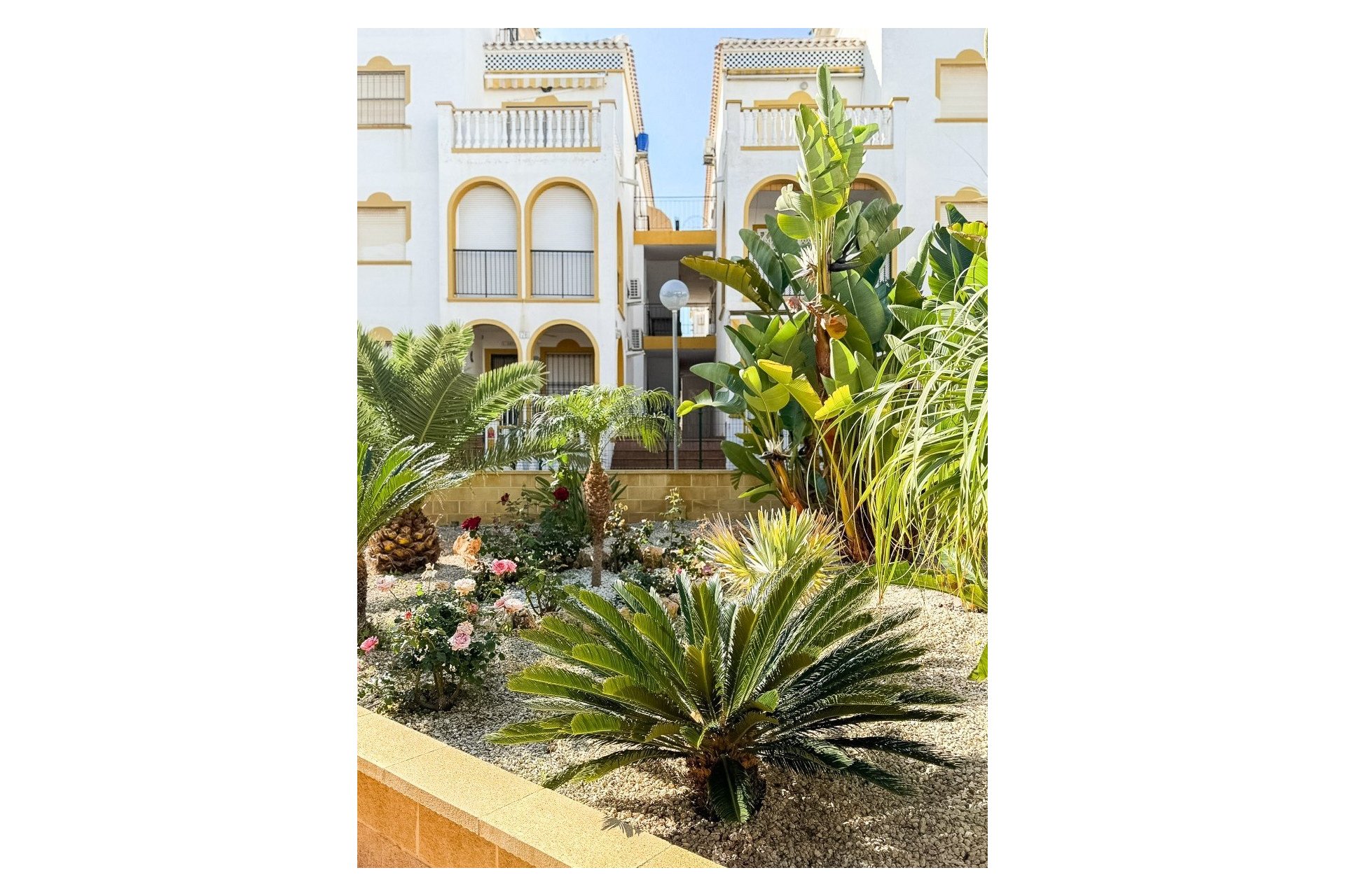 Herverkoop - Apartment -
Torrevieja - La Mata