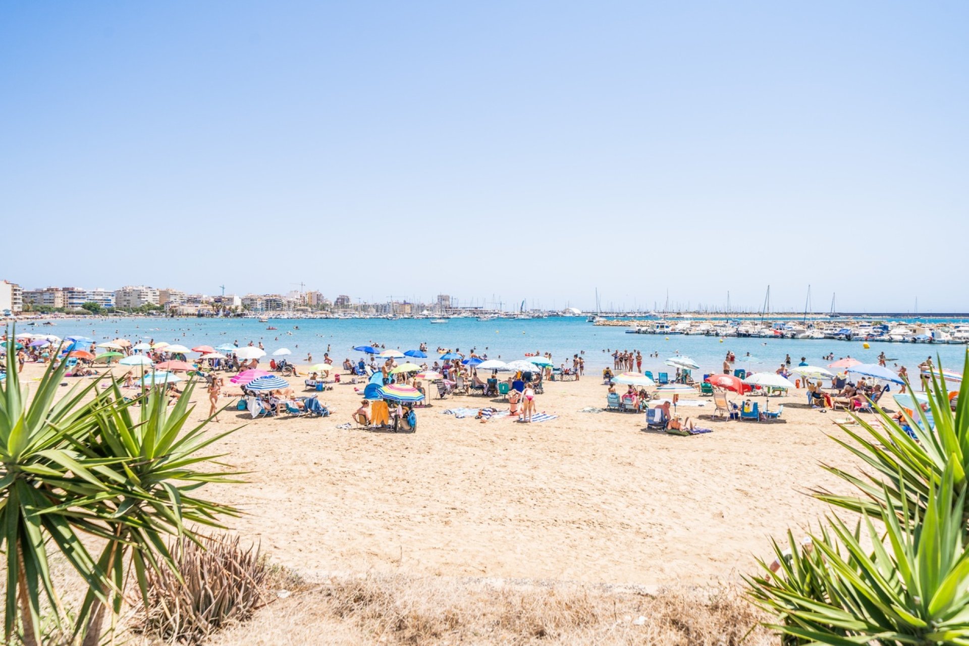 Herverkoop - Apartment -
Torrevieja - La Veleta