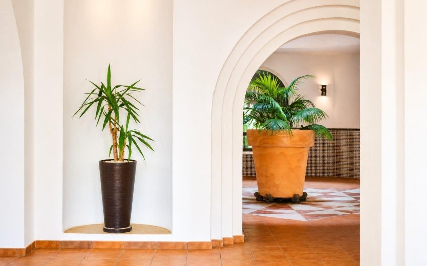 Herverkoop - Apartment -
Torrevieja - Los Frutales