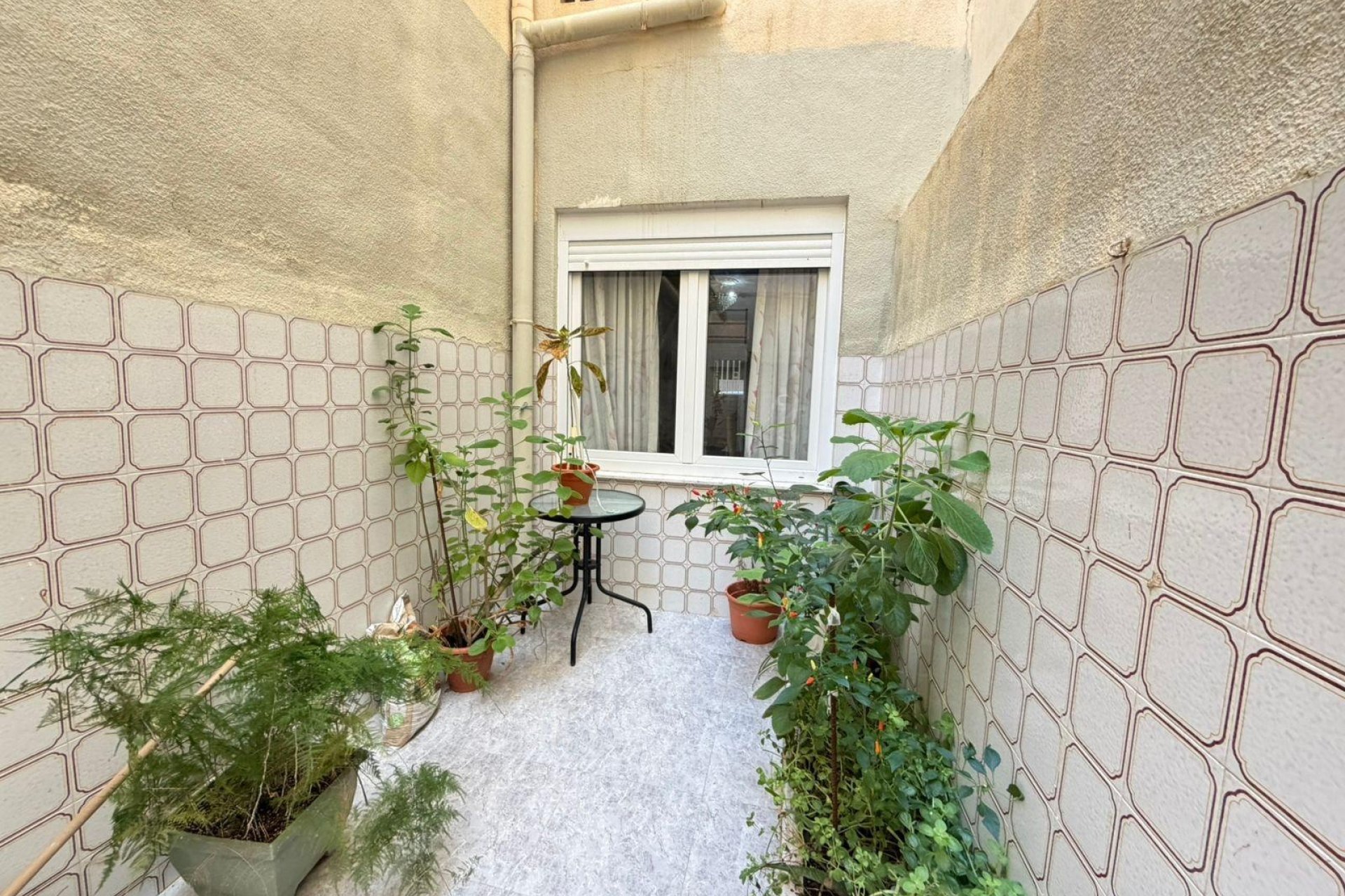 Herverkoop - Apartment -
Torrevieja - Playa del Cura