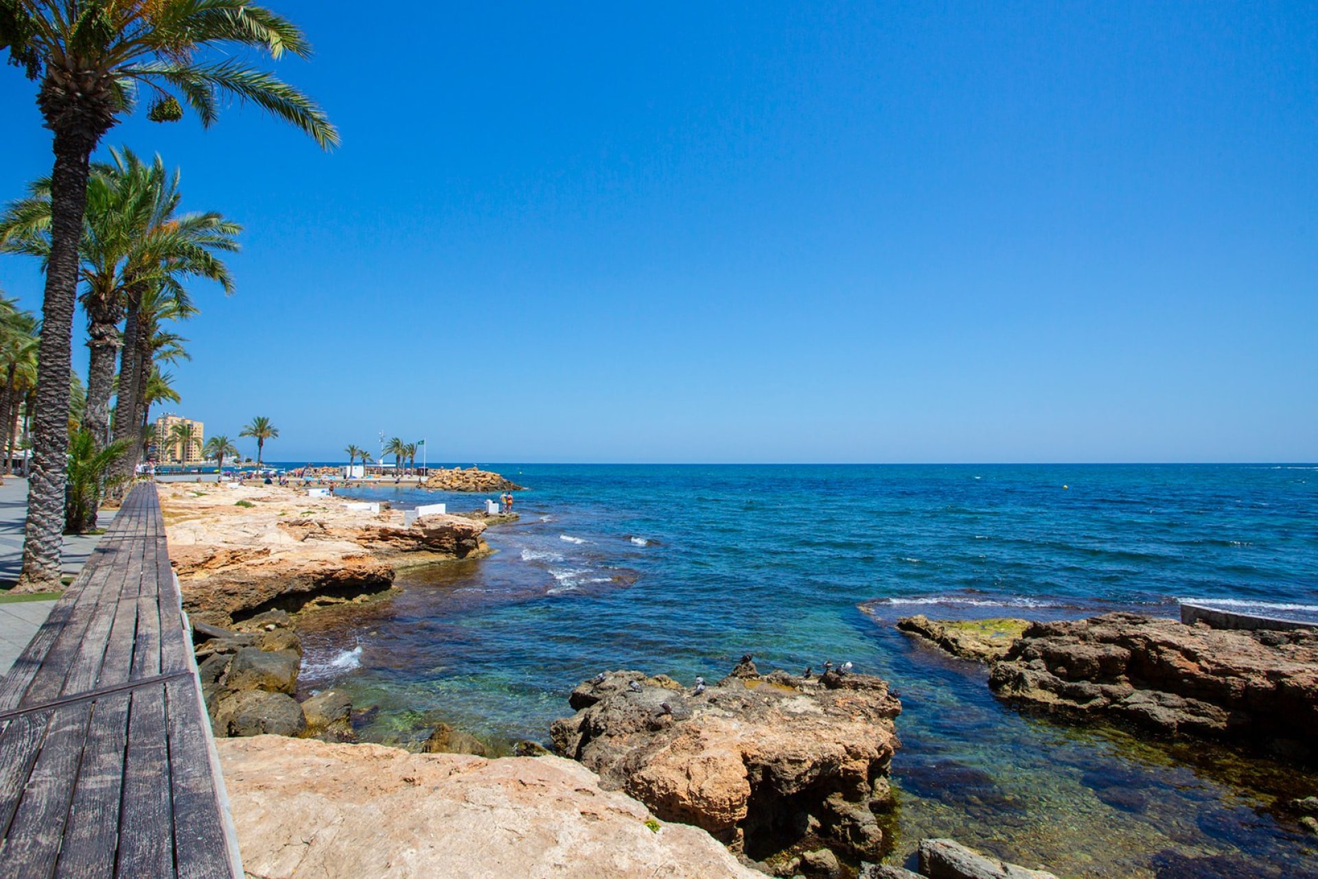 Herverkoop - Apartment -
Torrevieja - Playa Los Locos