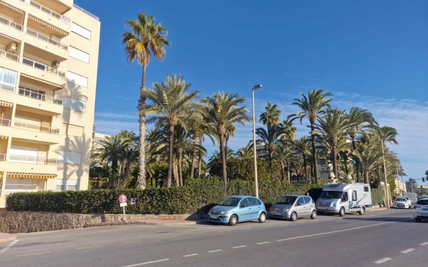 Herverkoop - Apartment -
Torrevieja - Playa Los Locos