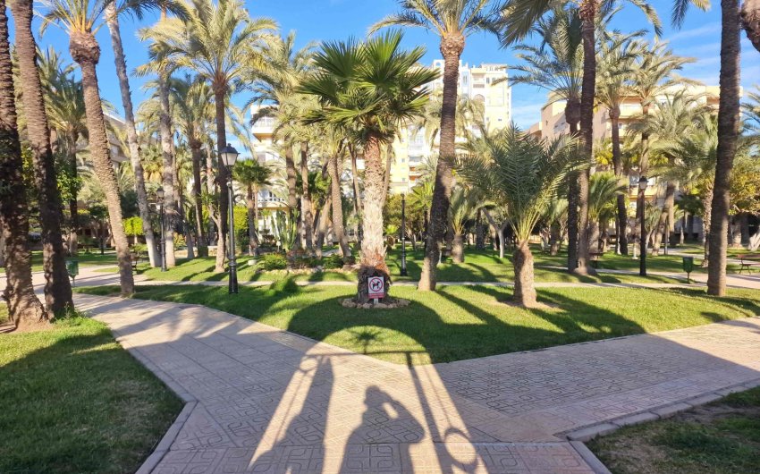 Herverkoop - Apartment -
Torrevieja - Playa Los Locos