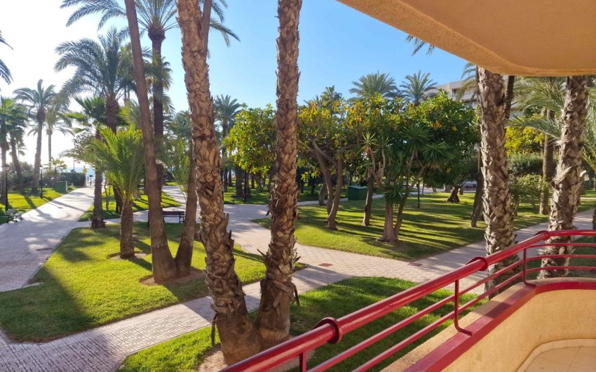 Herverkoop - Apartment -
Torrevieja - Playa Los Locos