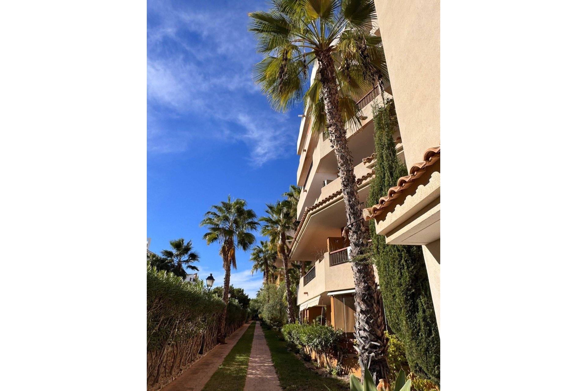 Herverkoop - Apartment -
Torrevieja - Punta Prima