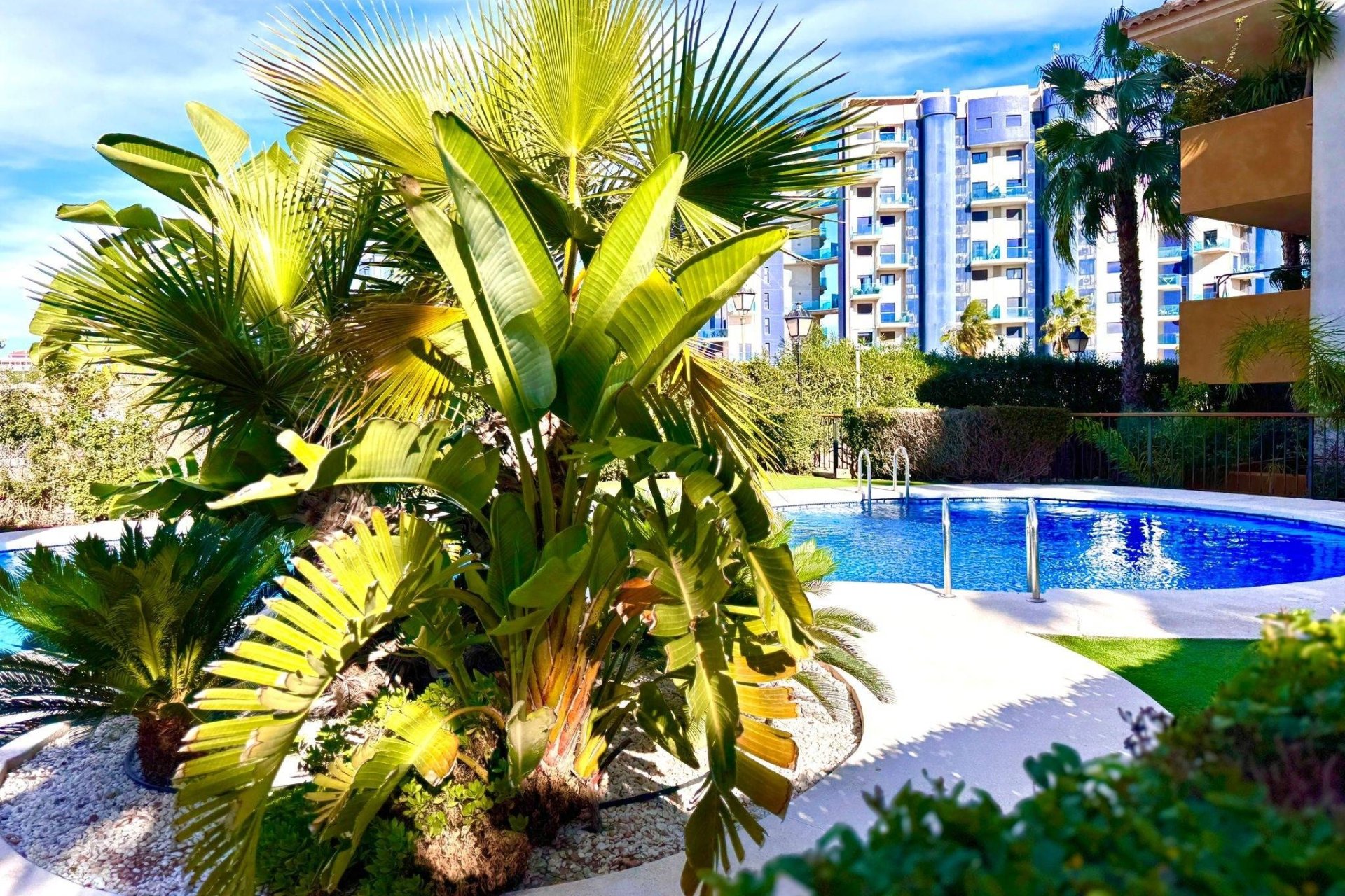 Herverkoop - Apartment -
Torrevieja - Punta Prima