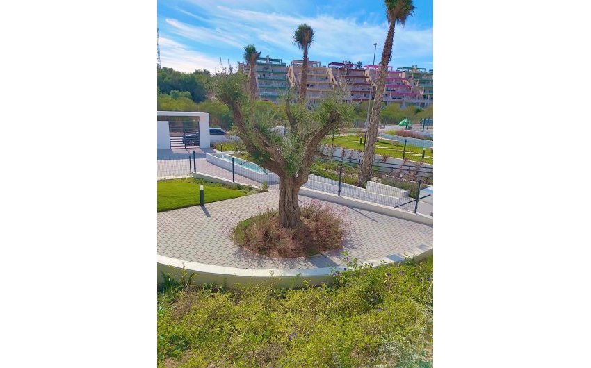 Herverkoop - Apartment -
Villamartin - Costa Blanca