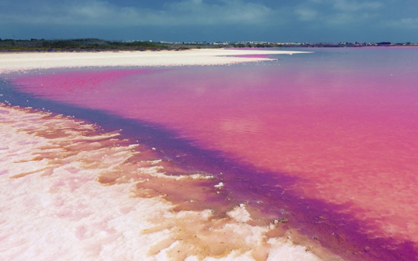 Herverkoop - Apartment -
Villamartin - Costa Blanca