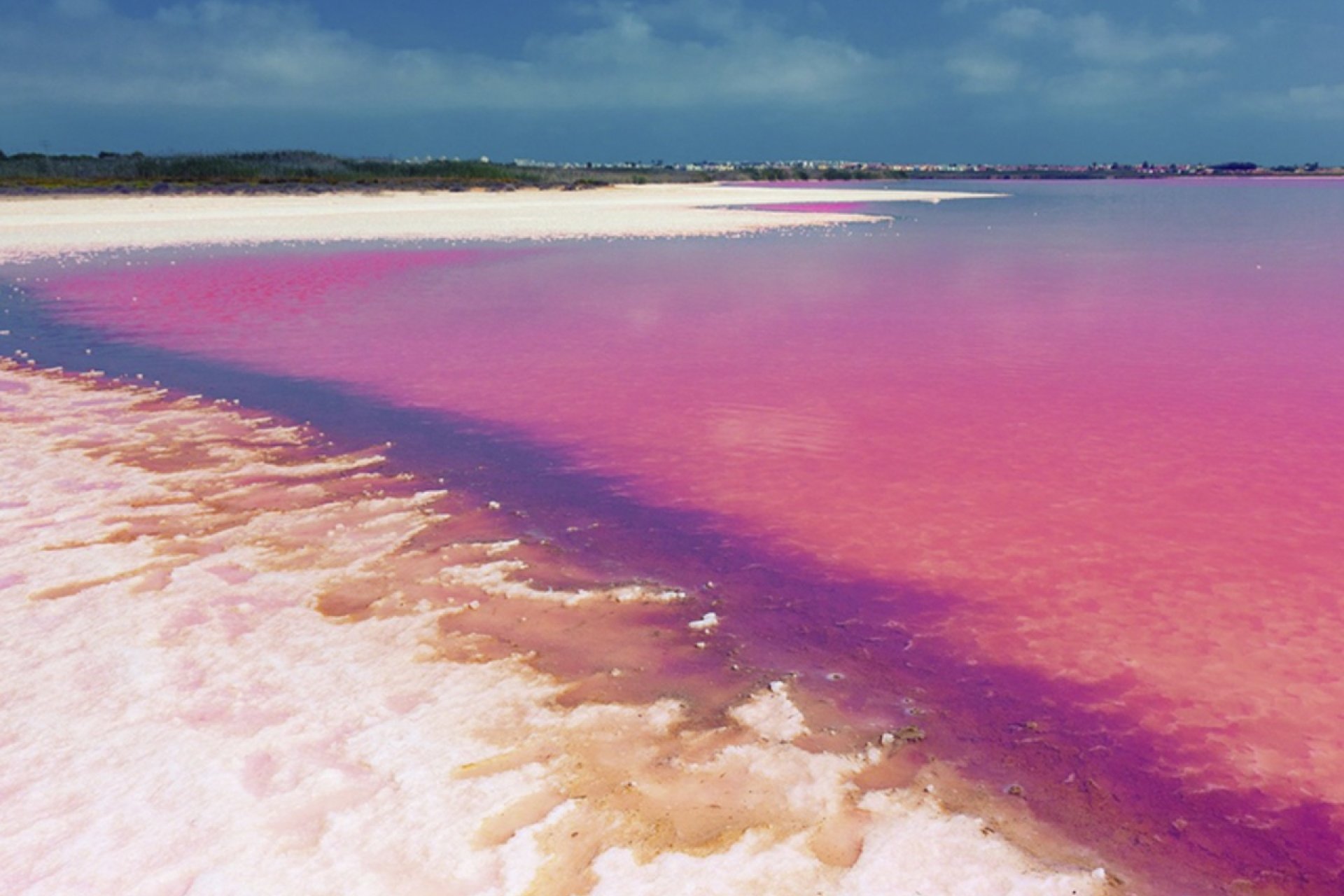 Herverkoop - Apartment -
Villamartin - Costa Blanca