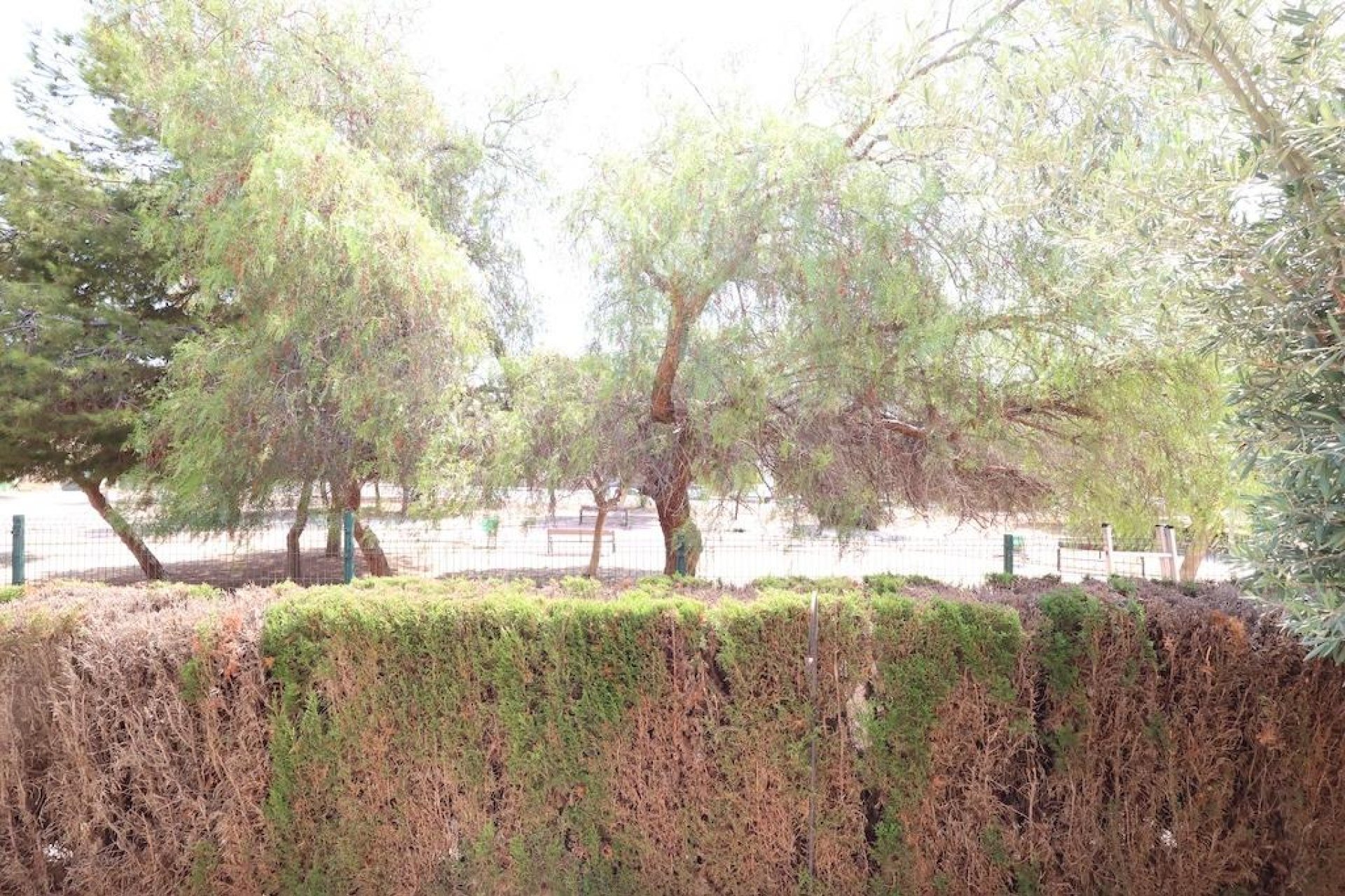 Herverkoop - Bungalow -
Orihuela Costa - Costa Blanca