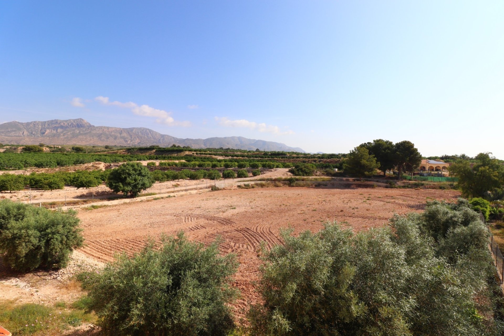 Herverkoop - Country House -
Albatera - Albatera - Country