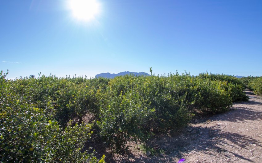 Herverkoop - Country House -
Albatera