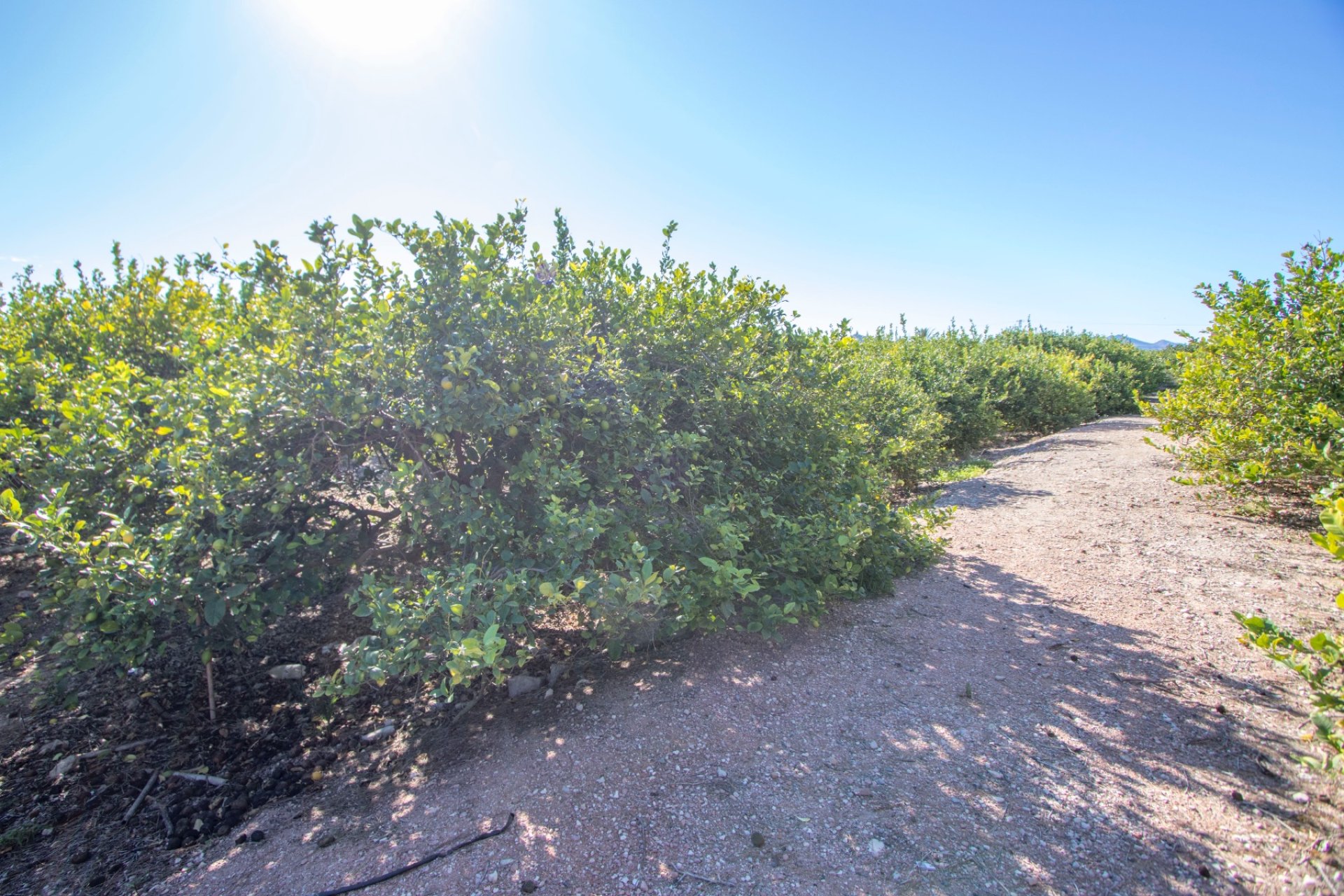 Herverkoop - Country House -
Albatera