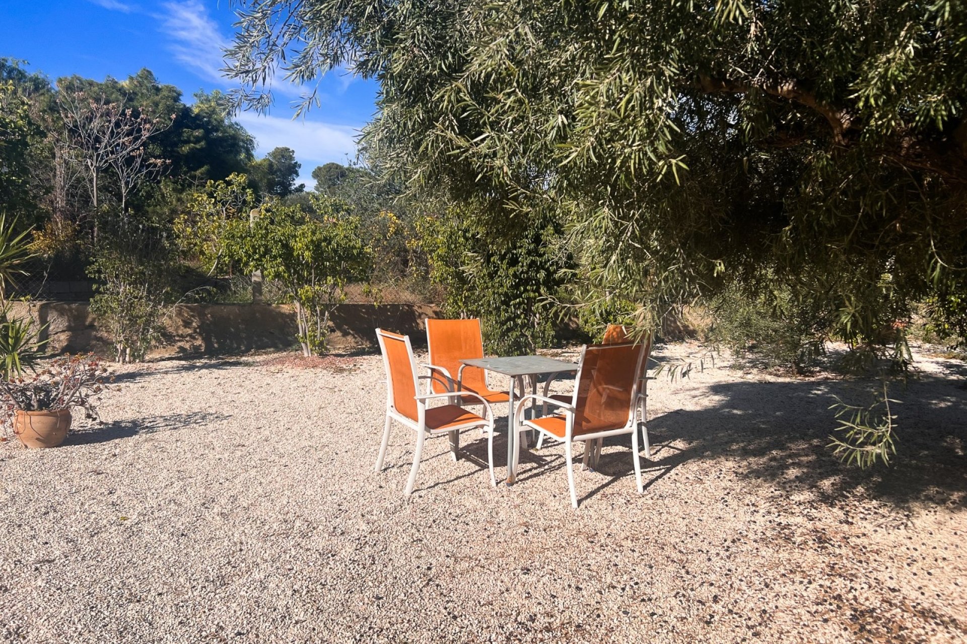 Herverkoop - Country House -
Alicante - Moralet - Cañada del Fenollar