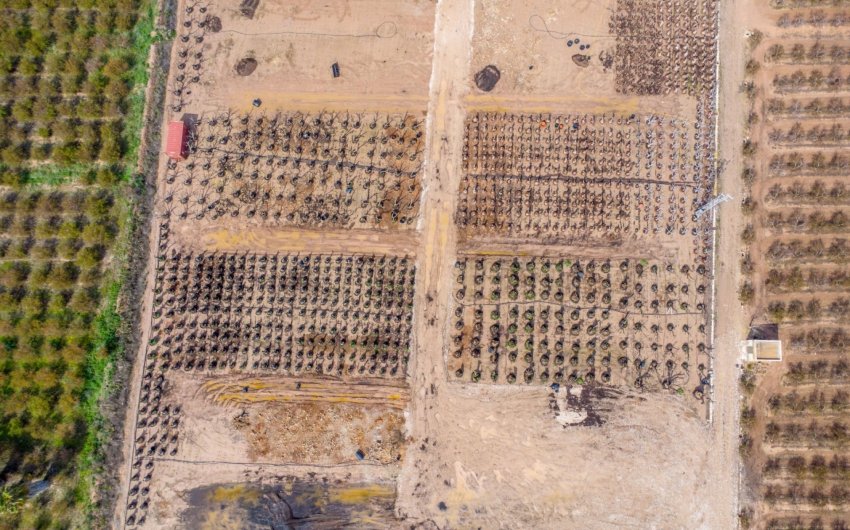 Herverkoop - Country House -
Cartagena