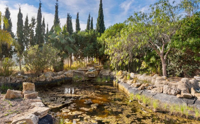 Herverkoop - Country House -
Catral