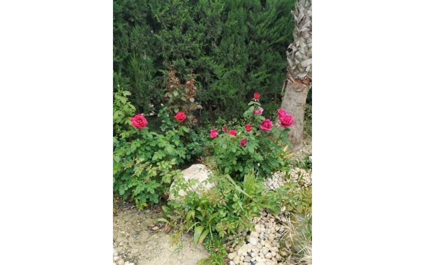 Herverkoop - Country House -
Crevillente