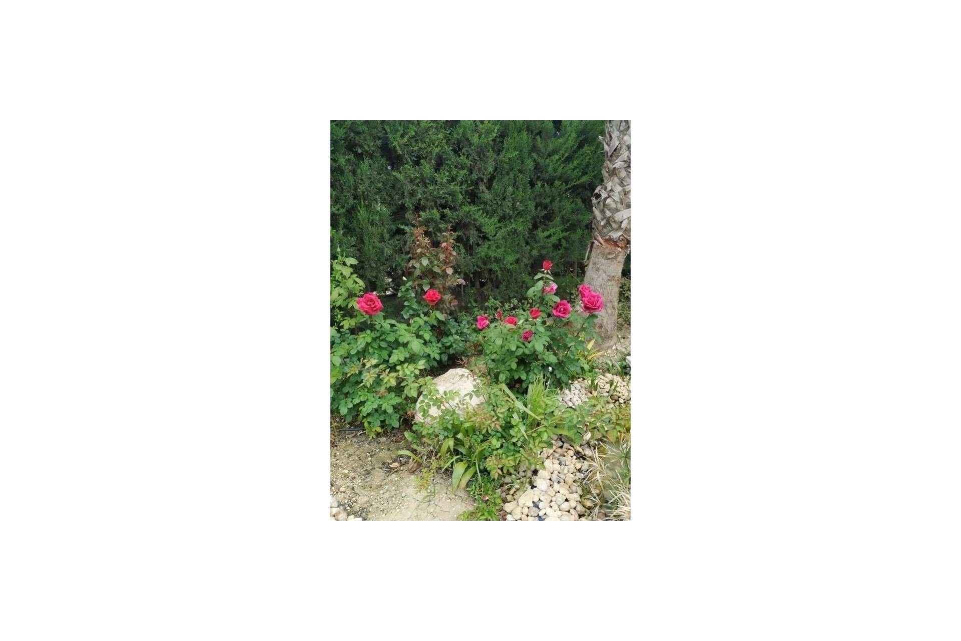 Herverkoop - Country House -
Crevillente