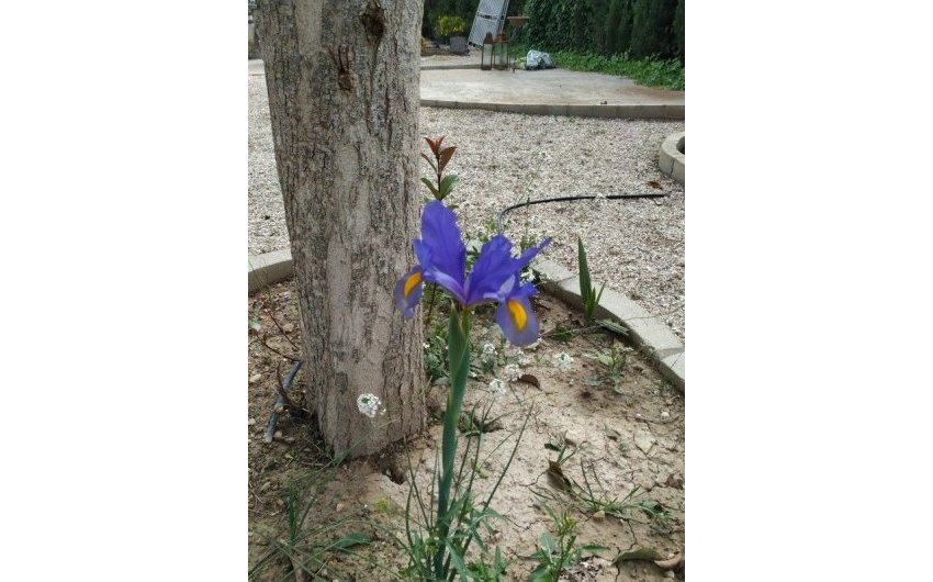 Herverkoop - Country House -
Crevillente