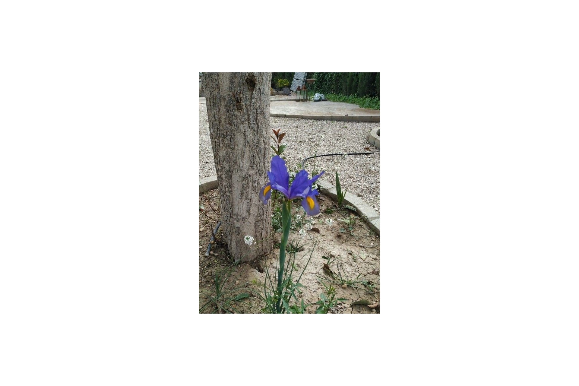 Herverkoop - Country House -
Crevillente