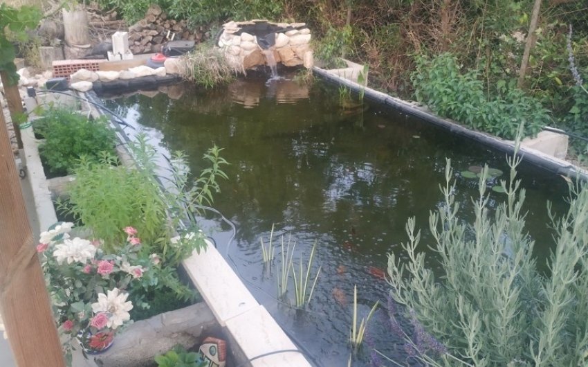 Herverkoop - Country House -
Crevillente