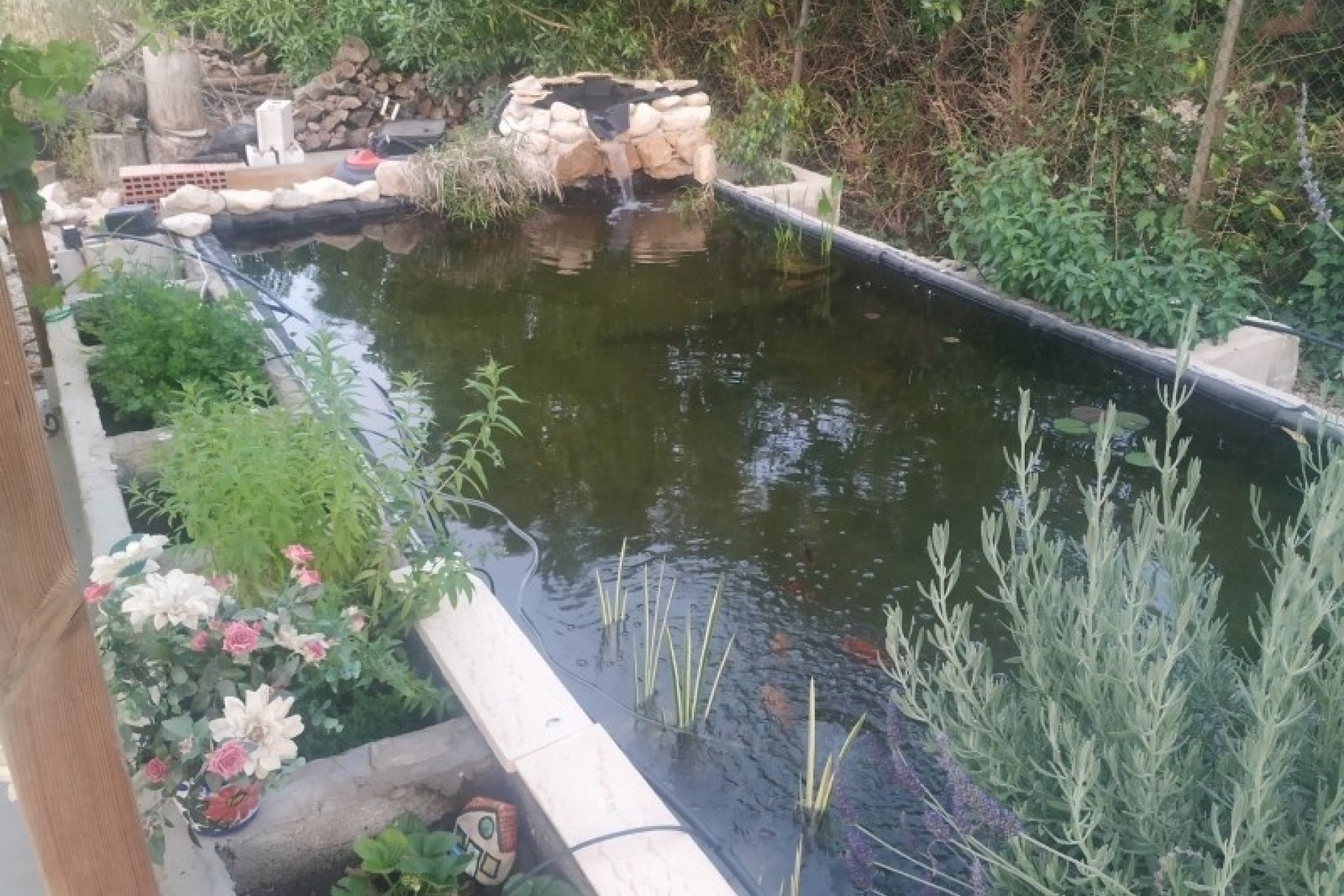 Herverkoop - Country House -
Crevillente