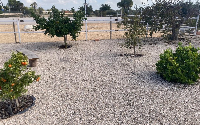 Herverkoop - Country House -
Crevillente