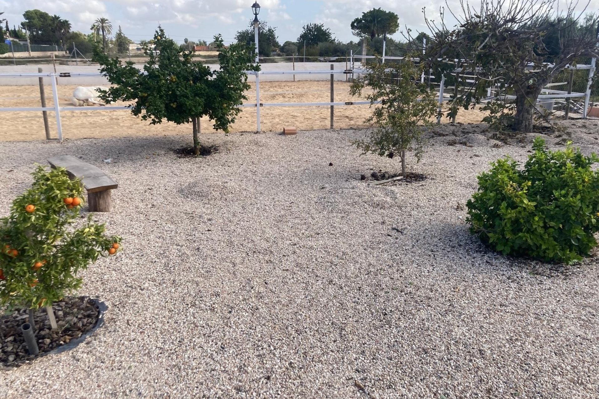 Herverkoop - Country House -
Crevillente