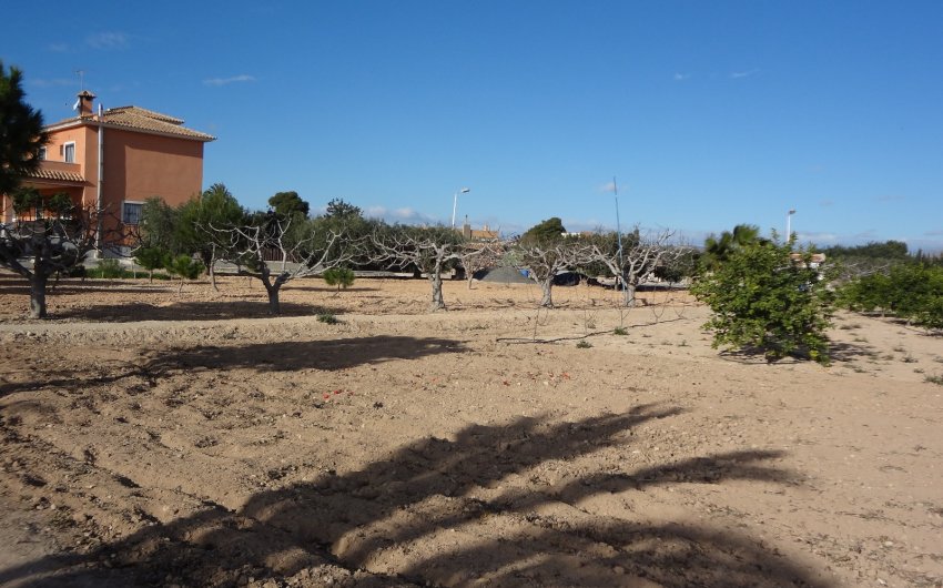 Herverkoop - Country House -
El Altet