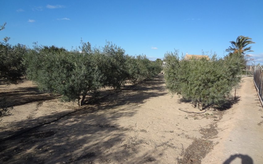 Herverkoop - Country House -
El Altet