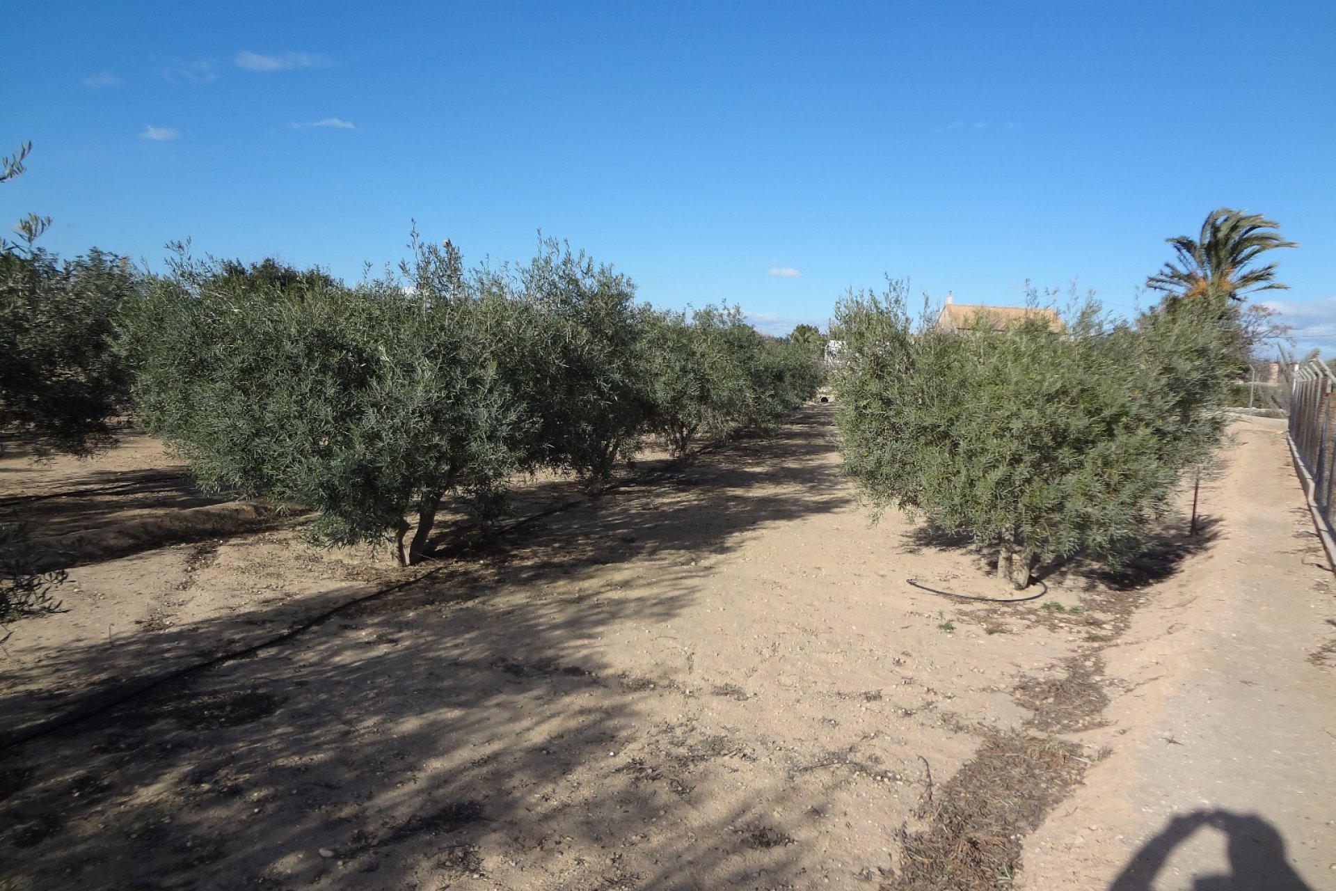 Herverkoop - Country House -
El Altet