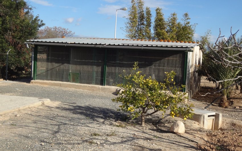 Herverkoop - Country House -
El Altet