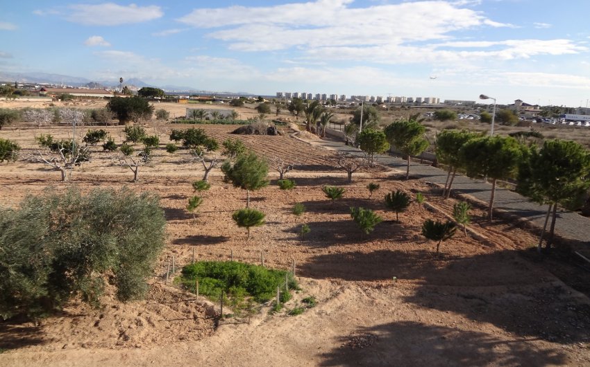 Herverkoop - Country House -
El Altet