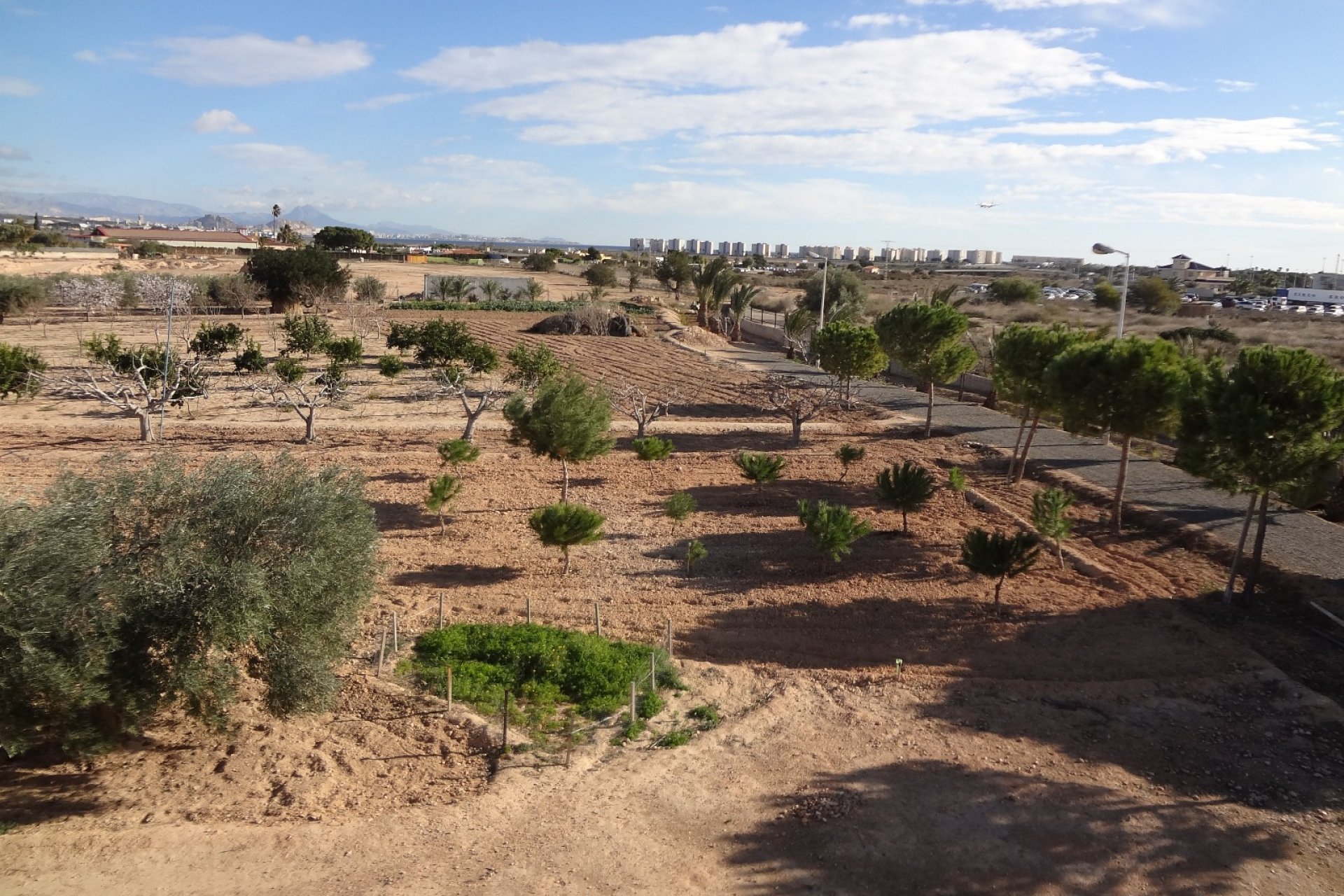 Herverkoop - Country House -
El Altet