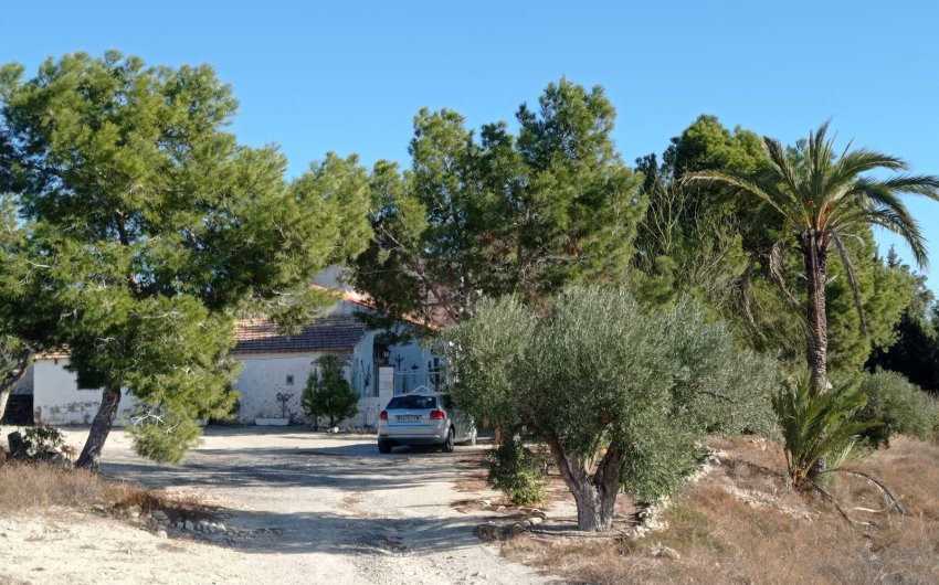 Herverkoop - Country House -
Elche - Saladas