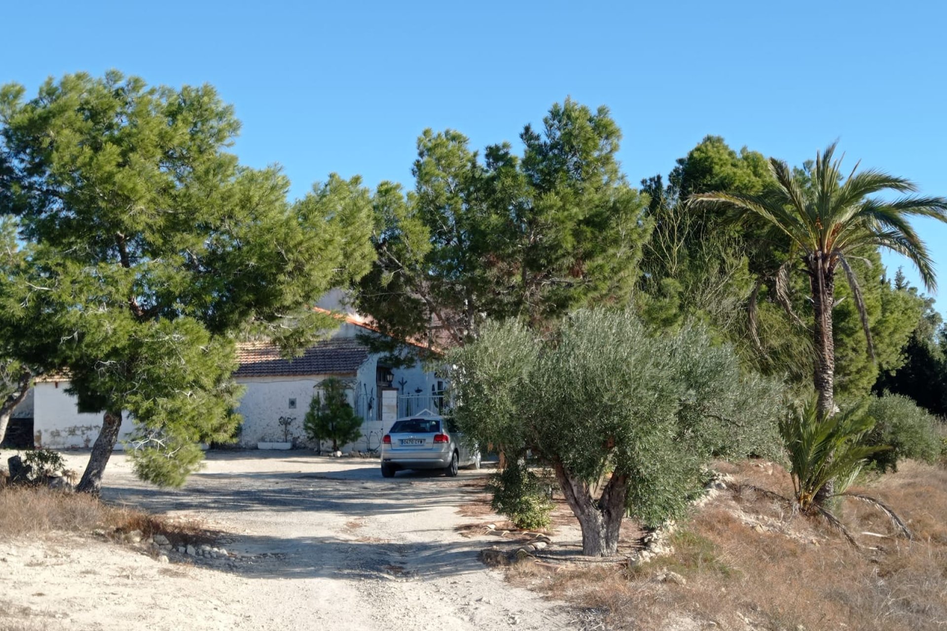 Herverkoop - Country House -
Elche - Saladas