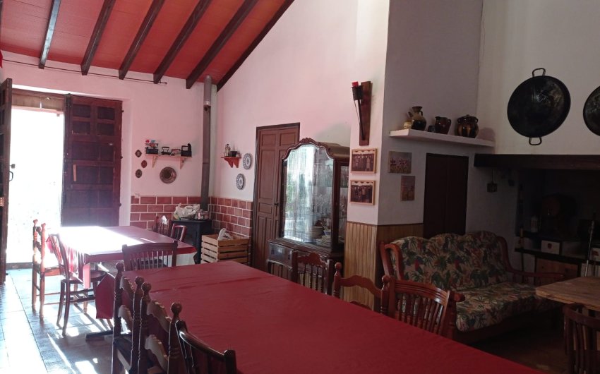 Herverkoop - Country House -
Elche - Saladas