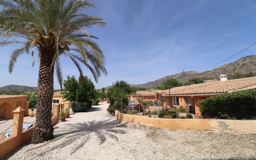 Herverkoop - Country House -
Hondón de las Nieves - LA CANALOSA