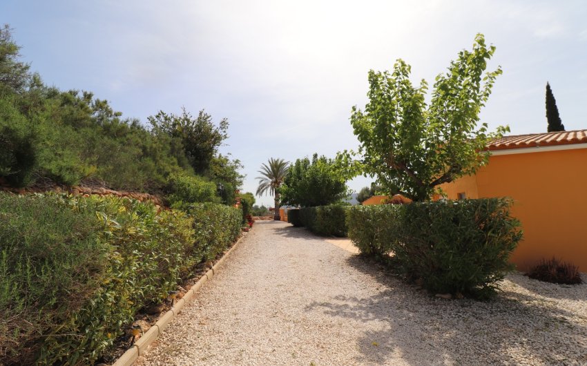 Herverkoop - Country House -
Hondón de las Nieves - LA CANALOSA