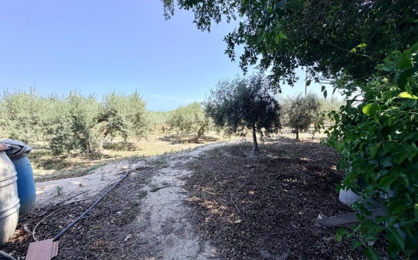 Herverkoop - Country House -
La Marina - Costa Blanca