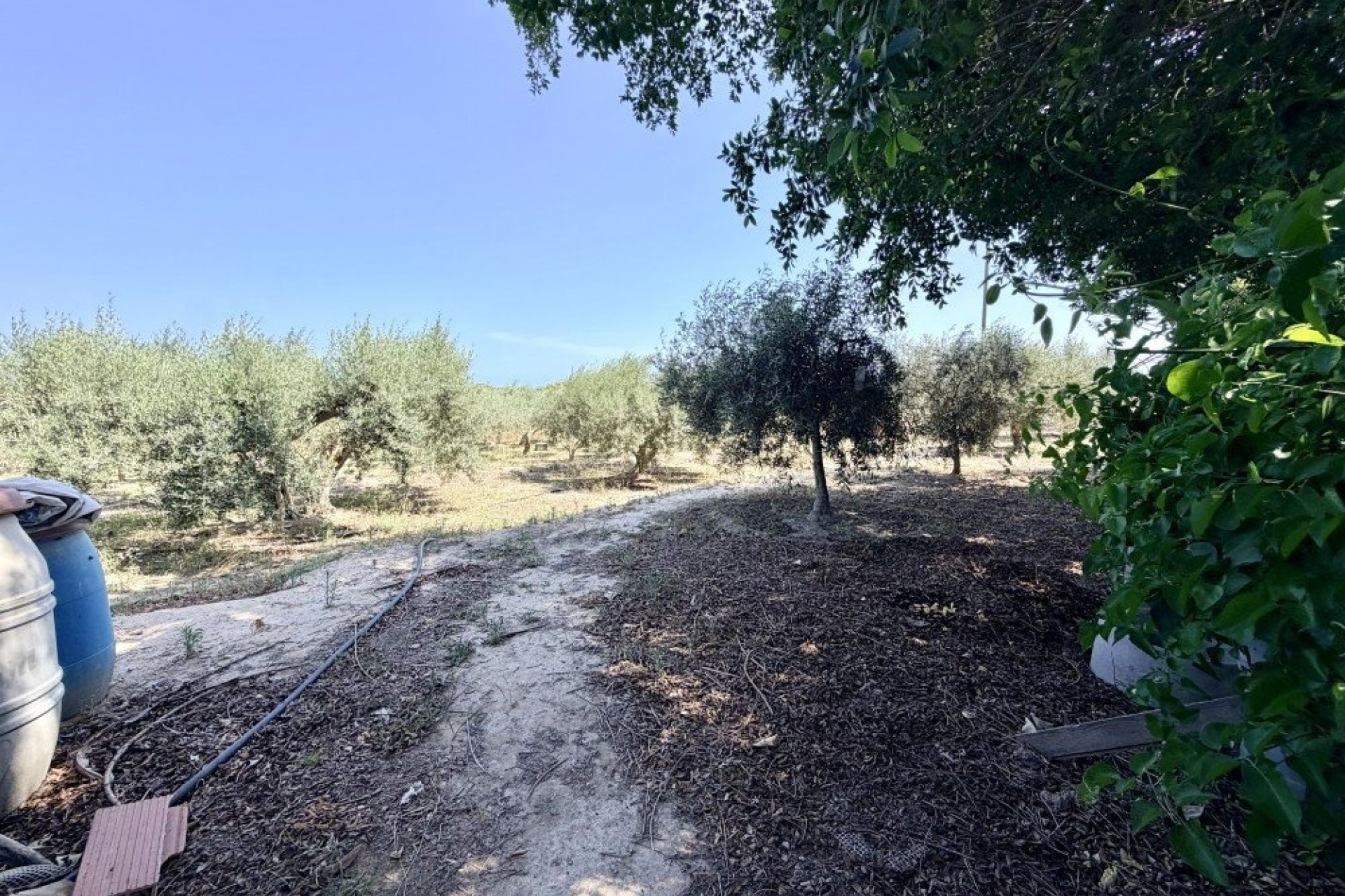 Herverkoop - Country House -
La Marina - Costa Blanca