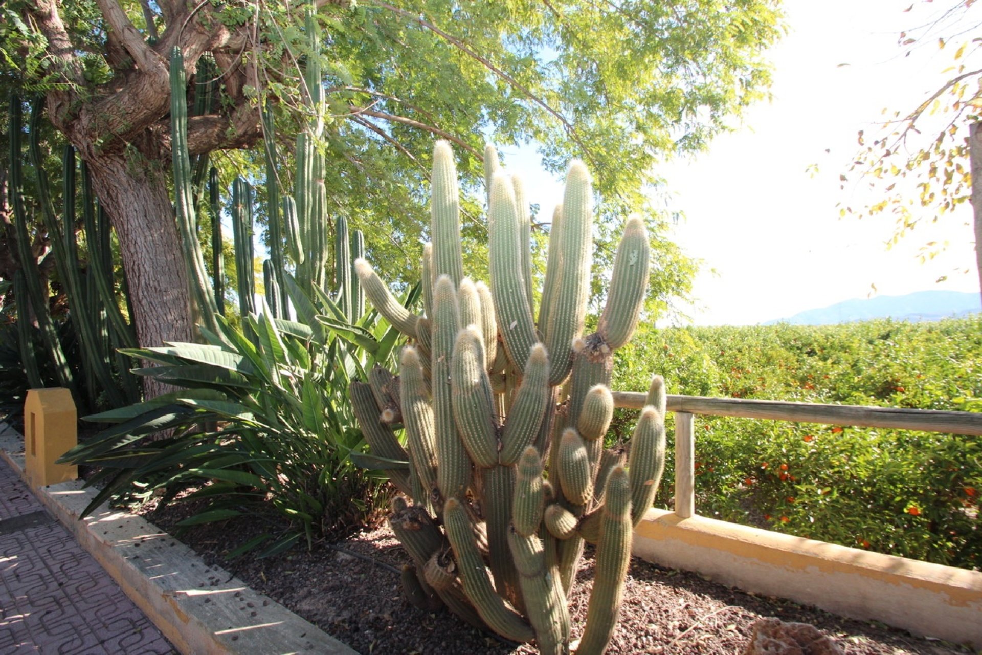 Herverkoop - Country House -
Murcia - Costa Blanca